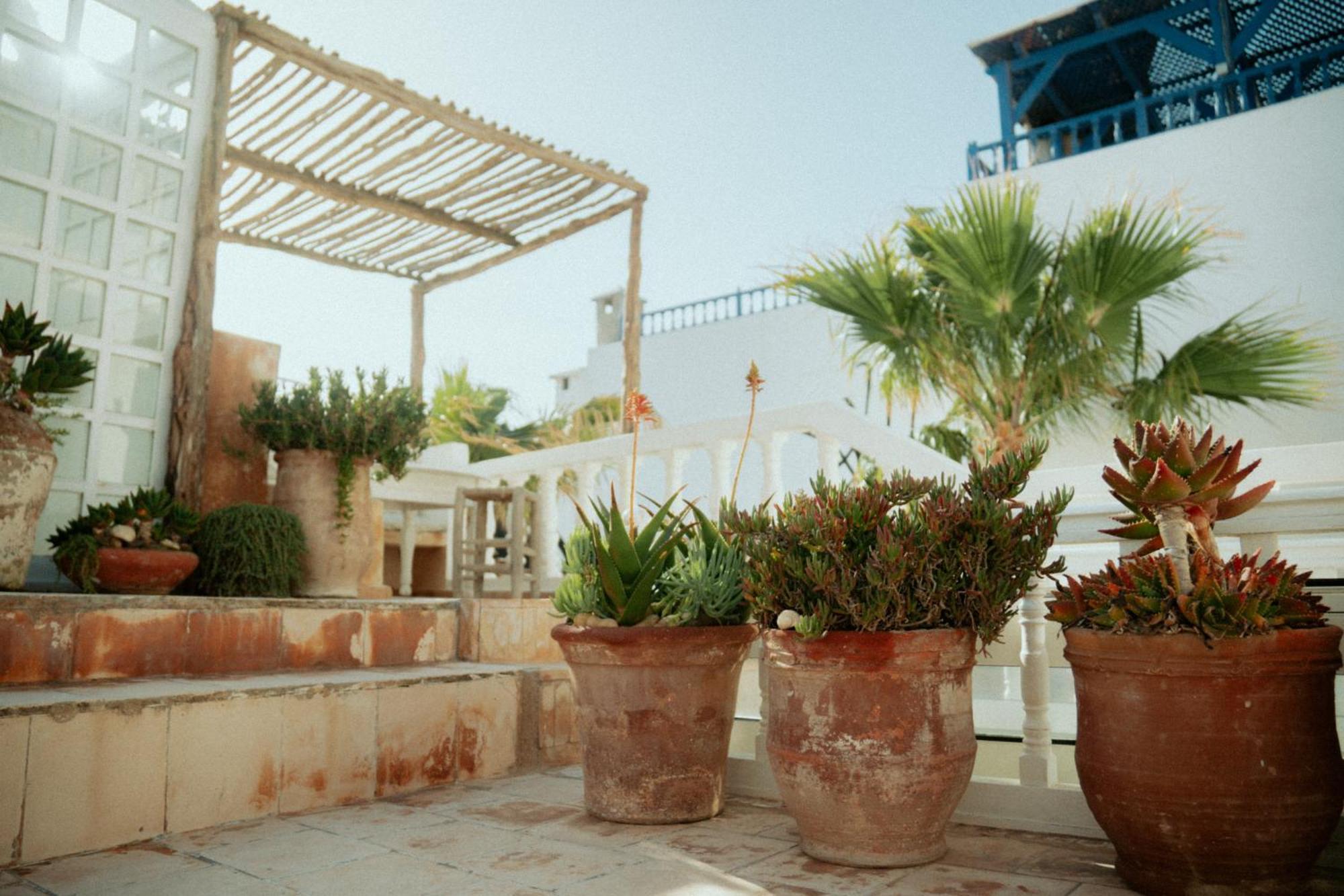 Riad Baladin Essaouira Bagian luar foto